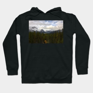 850_5257 Hoodie